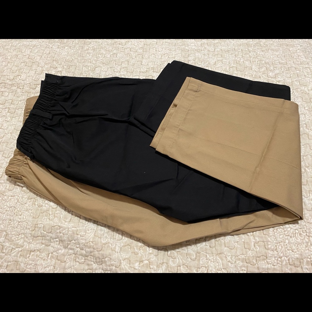 Women’s Size 14 (Lands End) pants